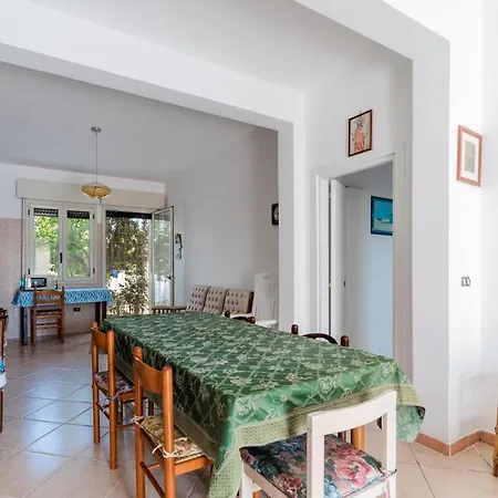 Tina A Торре-Лапилло